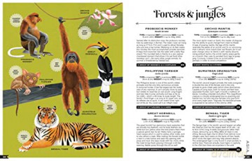 Wildlife Compendium Of The World - Tania Mccartney [KSIĄŻKA]