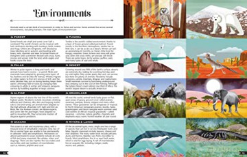 Wildlife Compendium Of The World - Tania Mccartney [KSIĄŻKA]