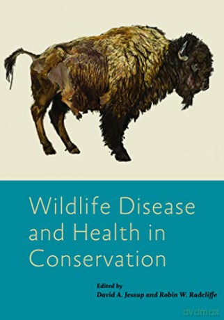 Wildlife Disease And Health In Conserva - David A Jessup [KSIĄŻKA]