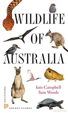 Wildlife Of Australia - Iain Campbell [KSIĄŻKA]