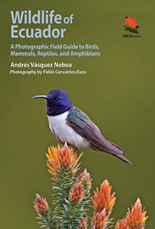 Wildlife Of Ecuador - Andr S V Squez N. [KSIĄŻKA]