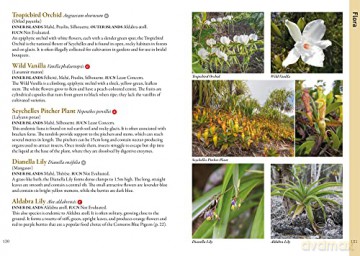 Wildlife Of Seychelles - Christ Mason-Parker [KSIĄŻKA]