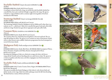Wildlife Of Seychelles - Christ Mason-Parker [KSIĄŻKA]
