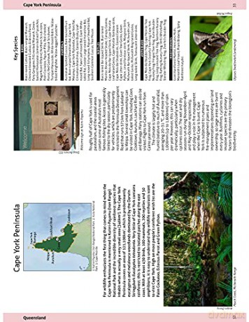 Wildlife Of The Australian Rainforests - Peter Rowland [KSIĄŻKA]