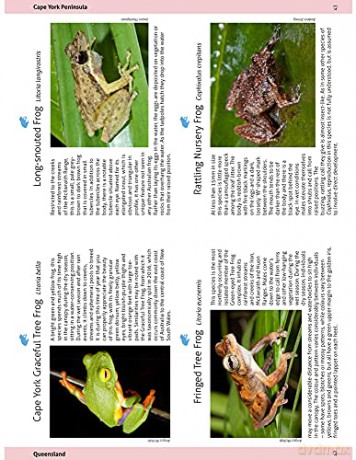 Wildlife Of The Australian Rainforests - Peter Rowland [KSIĄŻKA]