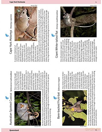 Wildlife Of The Australian Rainforests - Peter Rowland [KSIĄŻKA]