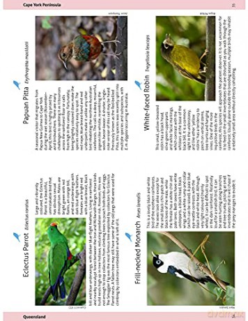 Wildlife Of The Australian Rainforests - Peter Rowland [KSIĄŻKA]