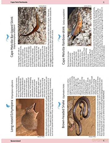 Wildlife Of The Australian Rainforests - Peter Rowland [KSIĄŻKA]