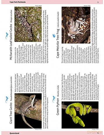 Wildlife Of The Australian Rainforests - Peter Rowland [KSIĄŻKA]