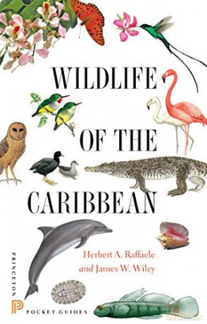 Wildlife Of The Caribbean - Herbert A. Raffaele [KSIĄŻKA]
