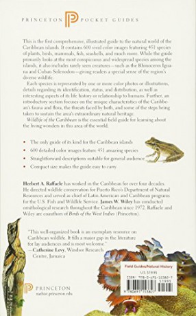 Wildlife Of The Caribbean - Herbert A. Raffaele [KSIĄŻKA]