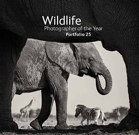 Wildlife Photographer Of The Year [KSIĄŻKA]