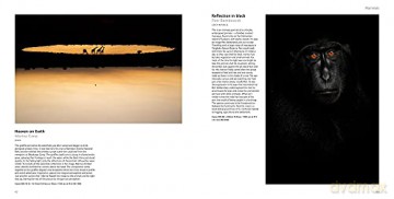 Wildlife Photographer Of The Year [KSIĄŻKA]