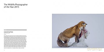 Wildlife Photographer Of The Year [KSIĄŻKA]