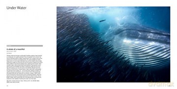 Wildlife Photographer Of The Year [KSIĄŻKA]