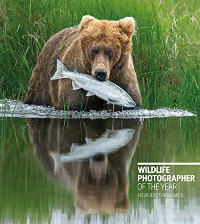 Wildlife Photographer Of The Year High - Natural History Muse [KSIĄŻKA]