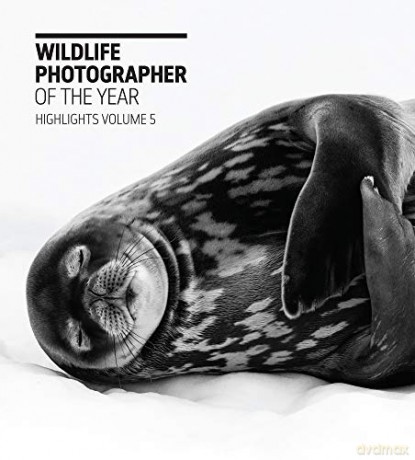 Wildlife Photographer Of/Year Highlght 5 - Rosamund Kidman Cox [KSIĄŻKA]