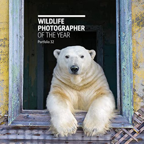 Wildlife Photographer/Year Portfolio 32 - Rosamund K (Ed) Cox [KSIĄŻKA]
