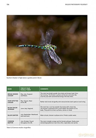 Wildlife Photography Fieldcraft - Susan Young [KSIĄŻKA]