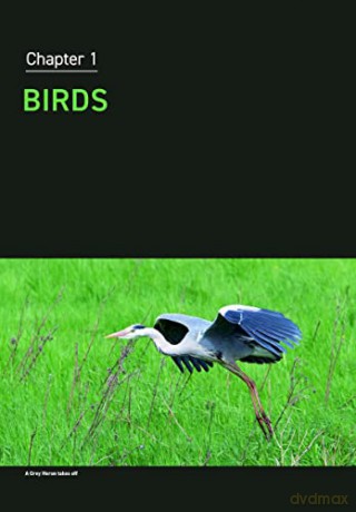 Wildlife Photography Fieldcraft - Susan Young [KSIĄŻKA]