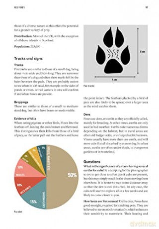 Wildlife Photography Fieldcraft - Susan Young [KSIĄŻKA]