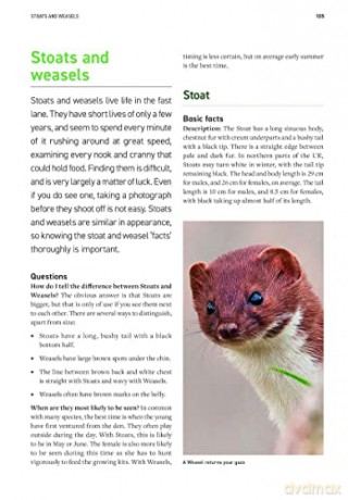 Wildlife Photography Fieldcraft - Susan Young [KSIĄŻKA]