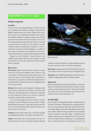Wildlife Photography Fieldcraft - Susan Young [KSIĄŻKA]