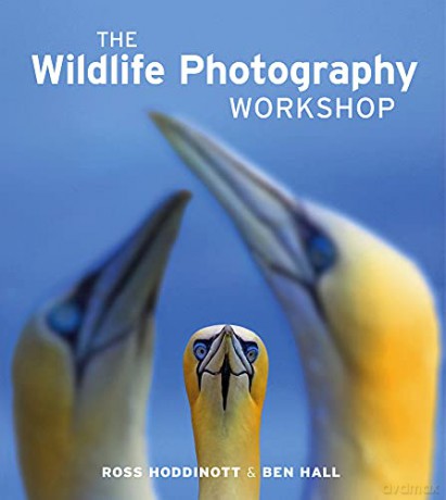 Wildlife Photography Workshop - Ross Hoddinott [KSIĄŻKA]
