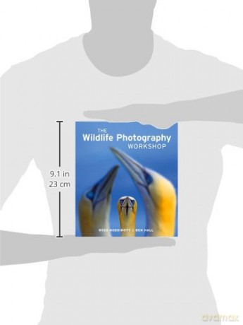 Wildlife Photography Workshop - Ross Hoddinott [KSIĄŻKA]