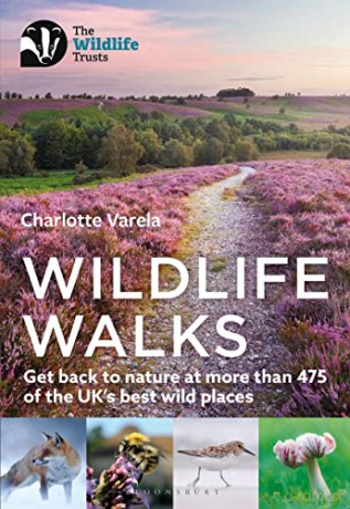 Wildlife Walks - Charlotte Varela [KSIĄŻKA]