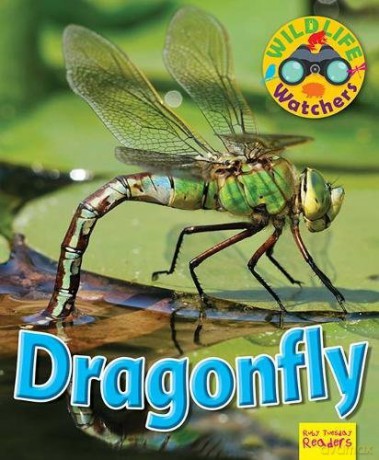 Wildlife Watchers Dragonfly [KSIĄŻKA]
