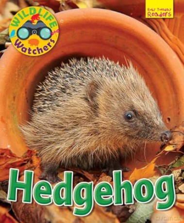 Wildlife Watchers Hedgehog [KSIĄŻKA]