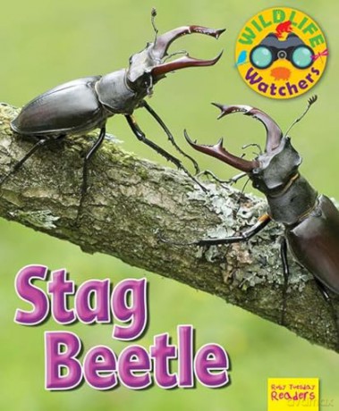 Wildlife Watchers Stag Beetle [KSIĄŻKA]