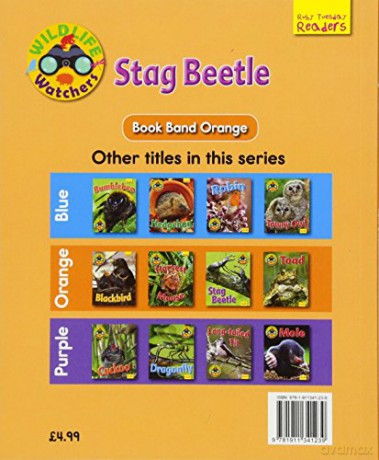 Wildlife Watchers Stag Beetle [KSIĄŻKA]