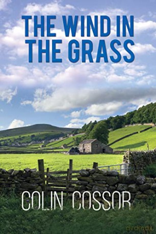 Wind In The Grass - Colin Cossor [KSIĄŻKA]