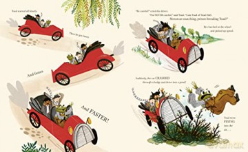 Wind In The Willows - Rashmi Sirdeshpande [KSIĄŻKA]