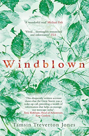 Windblown - Tamsin T Jones [KSIĄŻKA]