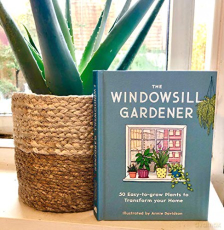 Windowsill Gardener - Annie Davidson [KSIĄŻKA]