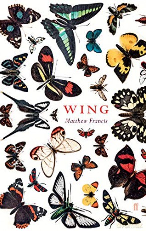 Wing - Matthew Francis [KSIĄŻKA]
