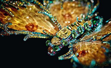 Winged Beauty - Emily Stoehrer [KSIĄŻKA]