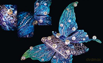 Winged Beauty - Emily Stoehrer [KSIĄŻKA]