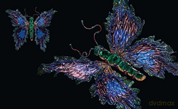 Winged Beauty - Emily Stoehrer [KSIĄŻKA]