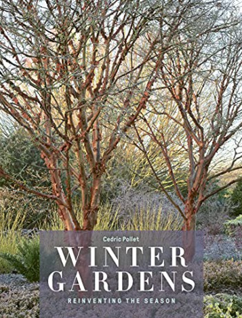 Winter Gardens - Cedric Pollet [KSIĄŻKA]