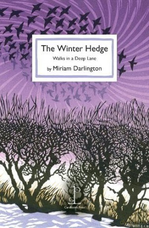 Winter Hedge - Miriam Darlington [KSIĄŻKA]