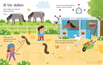 Wipe Clean Pet Activities - Kirsteen Robson [KSIĄŻKA]