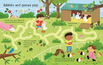Wipe Clean Pet Activities - Kirsteen Robson [KSIĄŻKA]