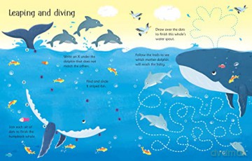 Wipe Clean Under The Sea Activities - Kirsteen Robson [KSIĄŻKA]