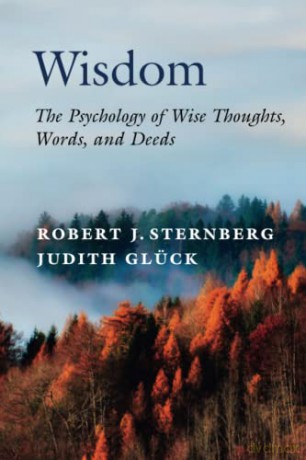 Wisdom - Robert J. Sternberg [KSIĄŻKA]