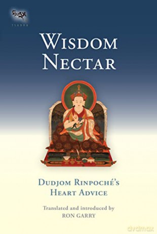 Wisdom Nectar - Dudjom Rinpoche [KSIĄŻKA]