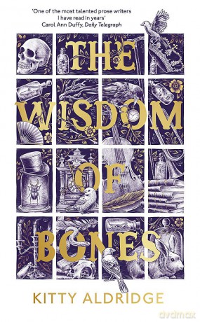 Wisdom Of Bones - Kitty Aldridge [KSIĄŻKA]